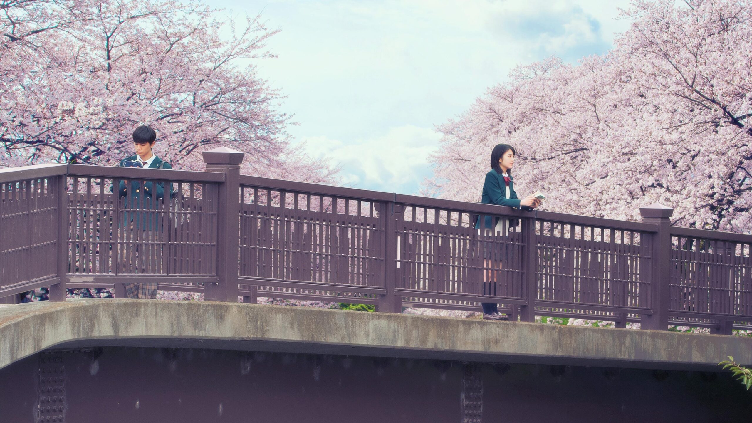 I Want To Eat Your Pancreas รีวิวหนัง